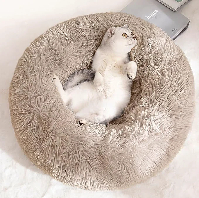 Dependable Cat Beds for Indoor Cats Trusted