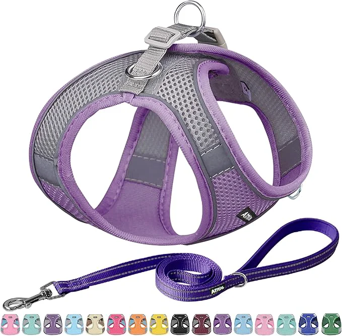 Original AIITLE Escape Proof Dog Harness Specialty