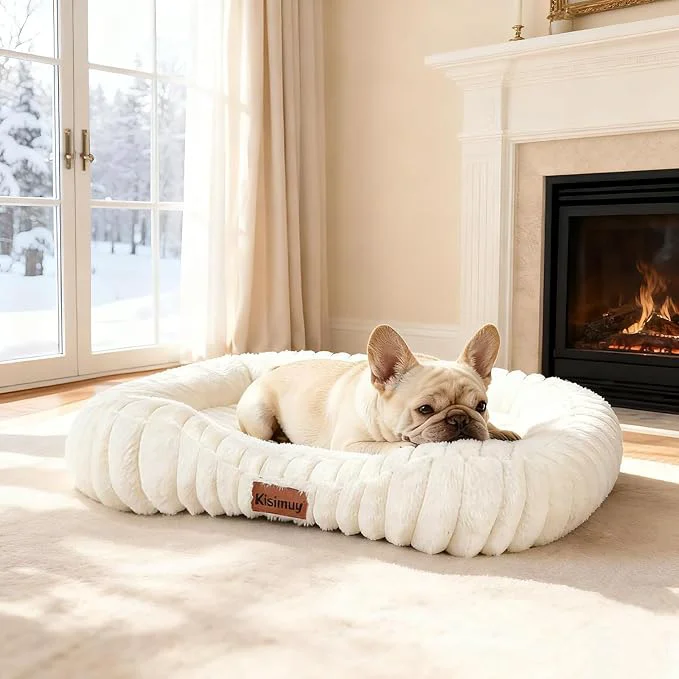Superior Cute Washable Dog Bed for Small Medium Dogs Orthopedic Plush Rectangle Contemporary