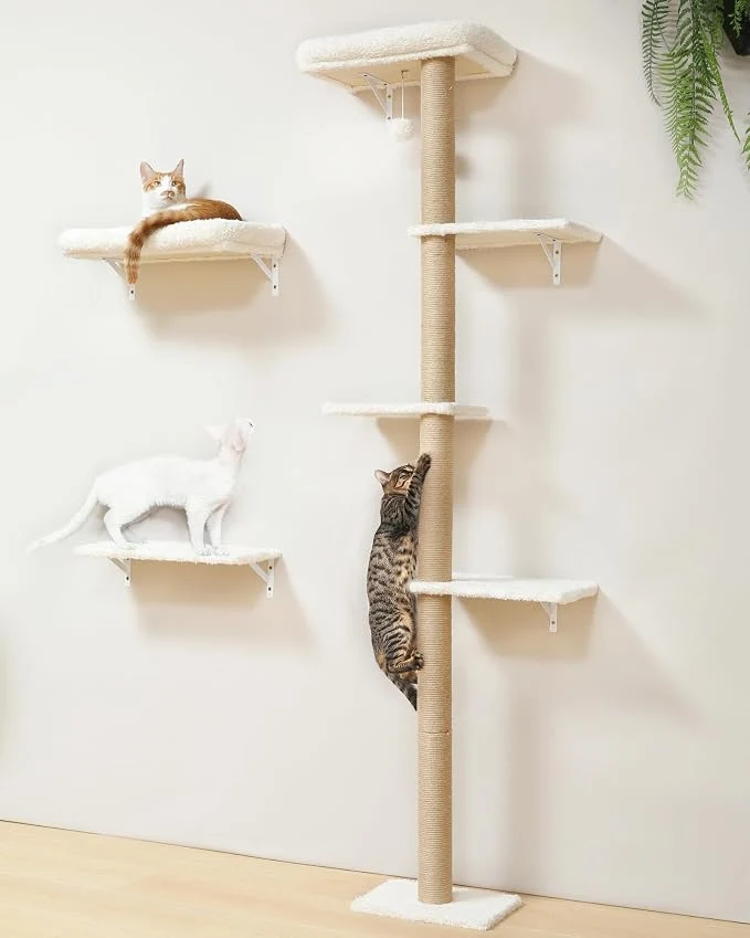 Next-Generation FUKUMARU Cat Wall Shelves Stable Wall Mounted Cats Furniture Set Kitten Durable