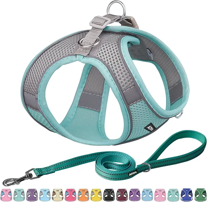 Unique AIITLE Dog Harness No-Pull Cat Harness Exclusive