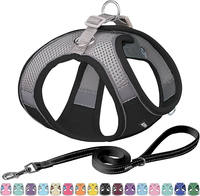 Pure AIITLE No Pull Dog Harness and Leash Set Step in Adjustable Dog Harness Long-Lasting