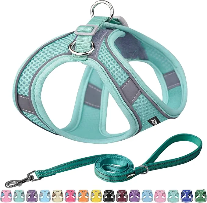 Enhanced AIITLE Easy Walk Dog Harness and Leash Set Elite