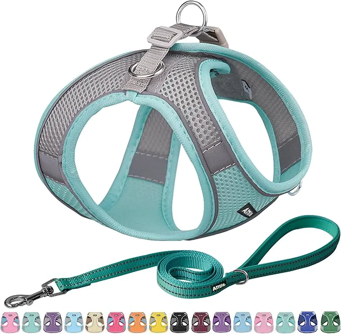 Luxury AIITLE Comfortable Dog Harness and Leash Set Minimalist