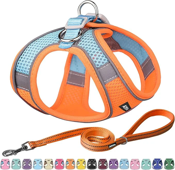 Crafted AIITLE Comfortable Dog Harness and Leash Set Versatile