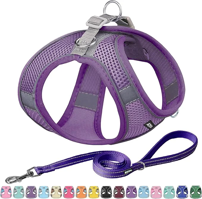 User-Friendly AIITLE Small Harness for Puppy Comfortable