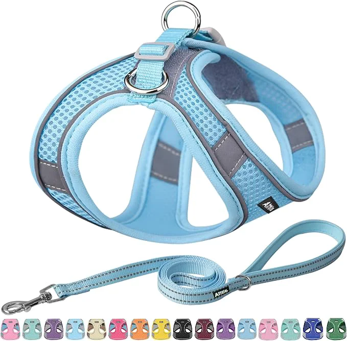 Dependable AIITLE Escape Proof Dog Harness High-Quality