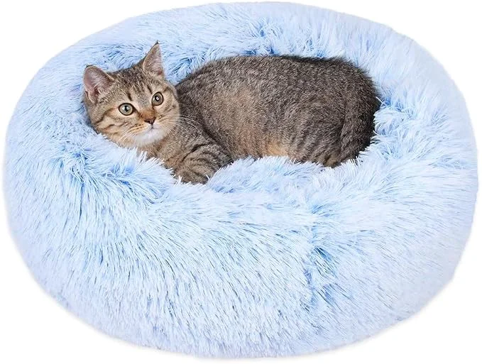 Green Cat Beds for Indoor Cats Functional