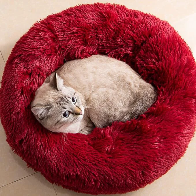 Certified Cat Beds for Indoor Cats Refined