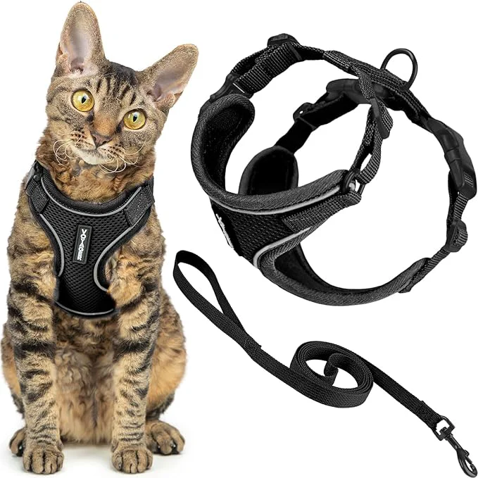 Minimalist Voyager Escape-Proof Step-in Lock Cat Harness 5ft Neoprene-Handle Leash Set World-Class