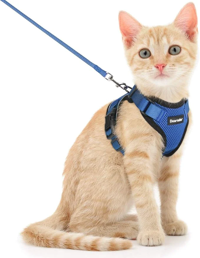Solid Dooradar Cat Harness and Leash Set Escape Proof Safe Adjustable Kitten Vest Professional