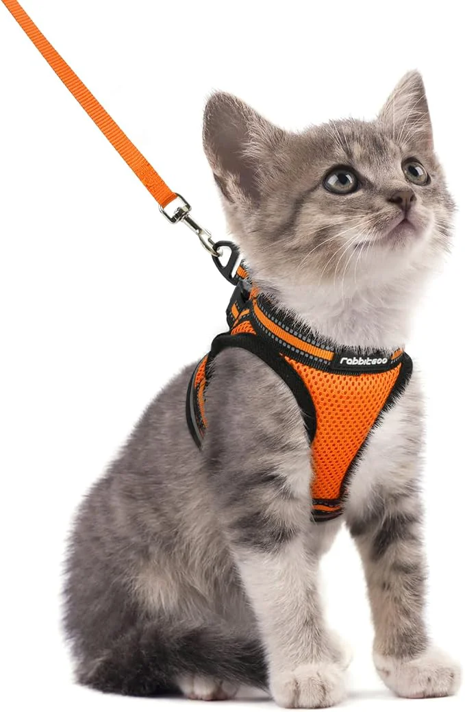 Reliable rabbitgoo Cat Harness and Leash Set Superior