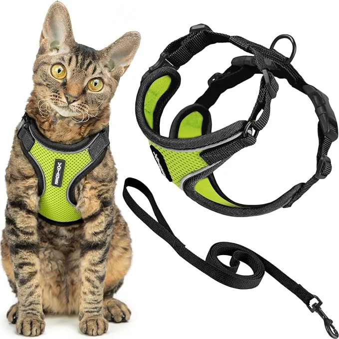 First-Class Voyager Escape-Proof Step-in Lock Cat Harness 5ft Neoprene-Handle Leash Set Environmentally Friendly