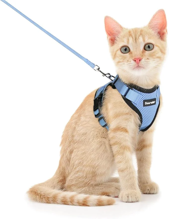 User-Friendly Dooradar Cat Harness and Leash Set Escape Proof Safe Adjustable Kitten Vest Casual