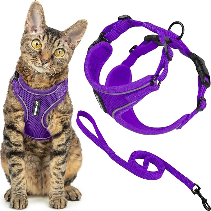 Elite Voyager Escape-Proof Step-in Lock Cat Harness 5ft Neoprene-Handle Leash Set Relaxed