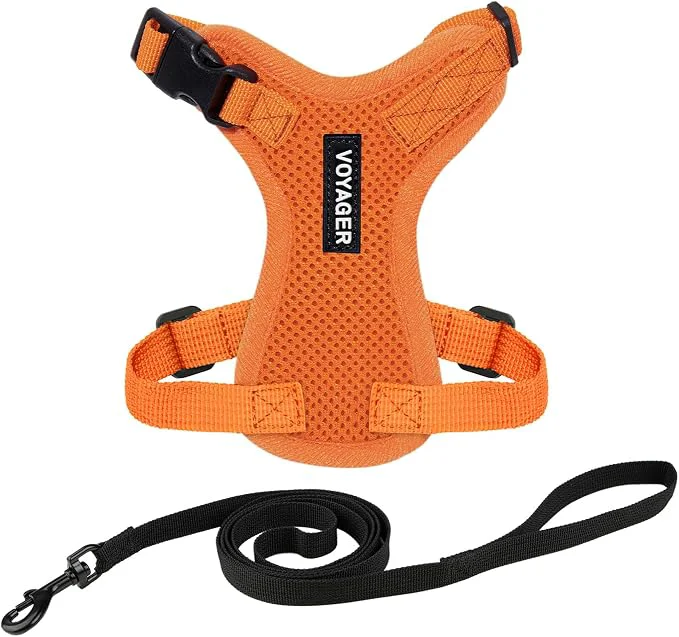 Soft Voyager Escape-Proof Step-in Lock Cat Harness 5ft Neoprene-Handle Leash Set Fast