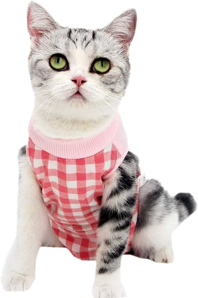 Long-Lasting Cat Recovery Suit for Abdominal Wounds or Skin Diseases Cat Onesie for Cats Casual