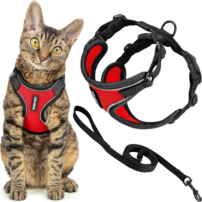 Pure Voyager Escape-Proof Step-in Lock Cat Harness 5ft Neoprene-Handle Leash Set Easy-to-Use