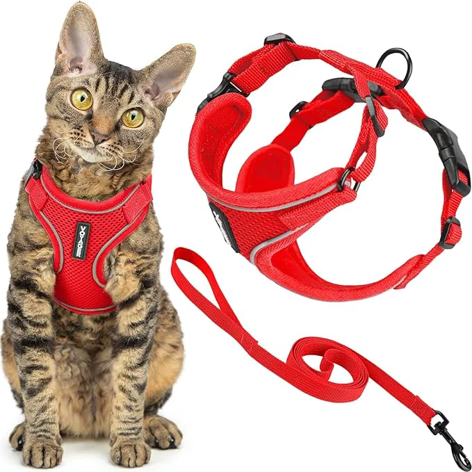Premium Voyager Escape-Proof Step-in Lock Cat Harness 5ft Neoprene-Handle Leash Set Easy-to-Use