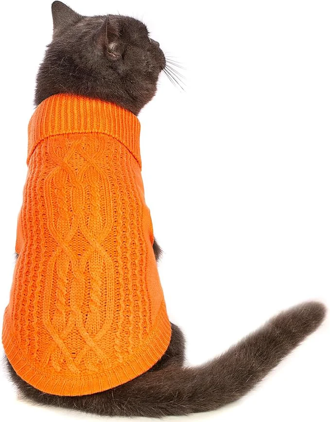 First-Class Stretchy Cat Sweater Next-Generation