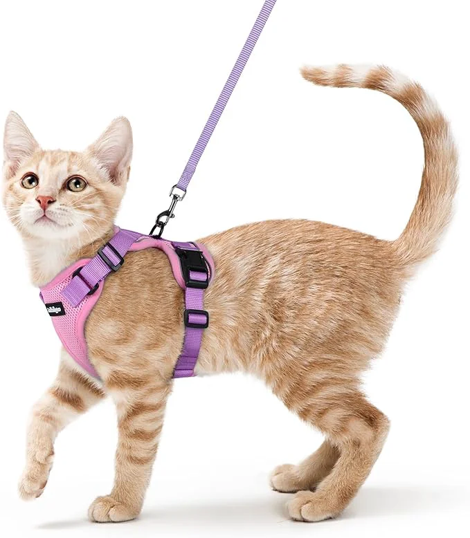 Modern rabbitgoo Cat Harness and Leash Trusted