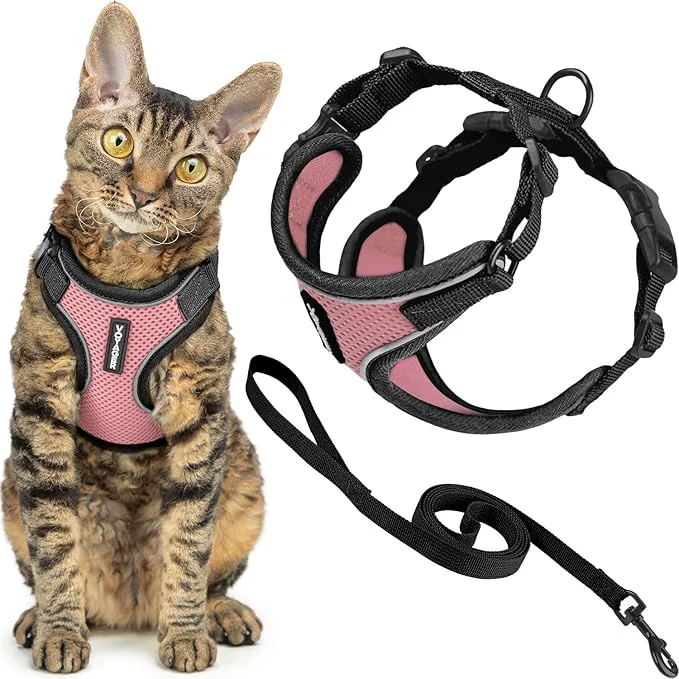 Safe Voyager Escape-Proof Step-in Lock Cat Harness 5ft Neoprene-Handle Leash Set Functional