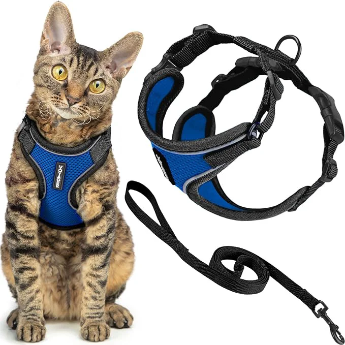 Efficient Voyager Escape-Proof Step-in Lock Cat Harness 5ft Neoprene-Handle Leash Set Dependable