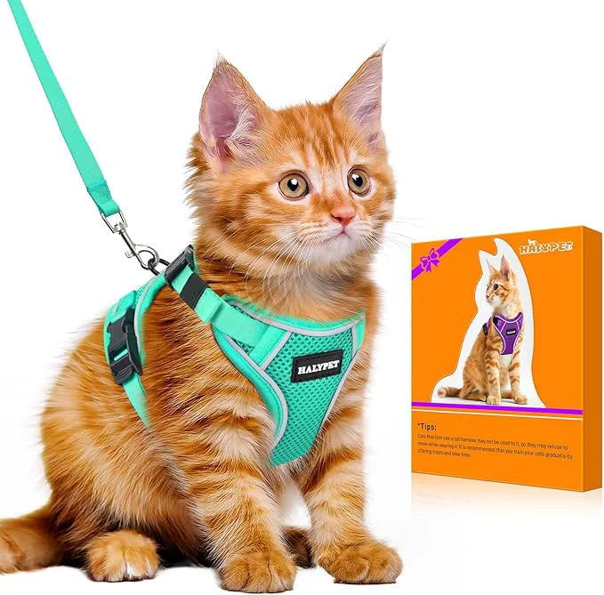 Smooth Halypet Cat Harness and Leash Set Escape Proof Adjustable Cat Leash Comfortable Sustainable