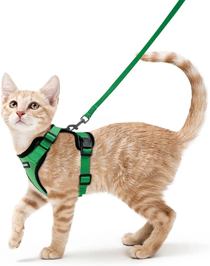 Authentic rabbitgoo Cat Harness and Leash Carefully Designed