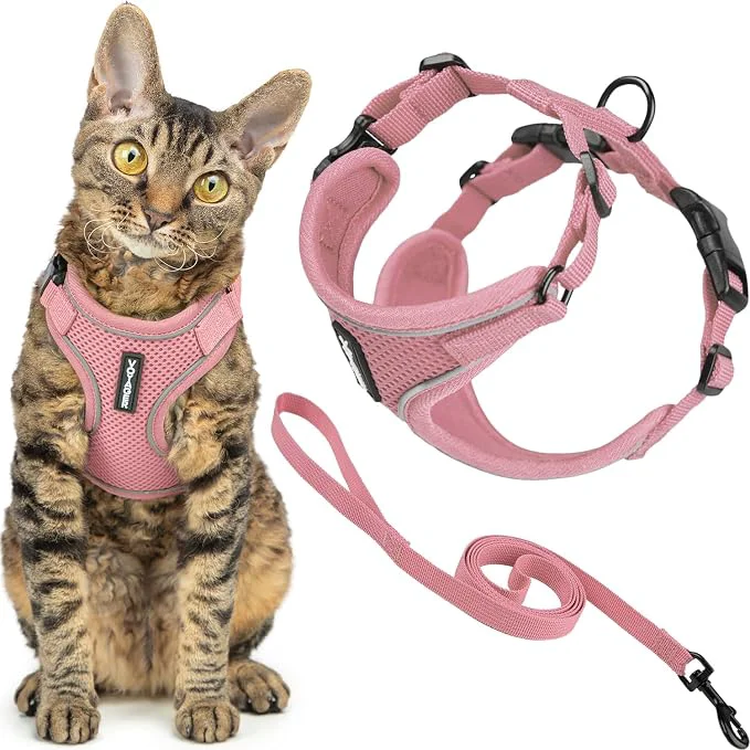 Modern Voyager Escape-Proof Step-in Lock Cat Harness 5ft Neoprene-Handle Leash Set Environmentally Friendly