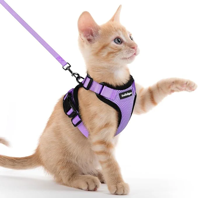 Convenient rabbitgoo Cat Harness and Leash Traditional