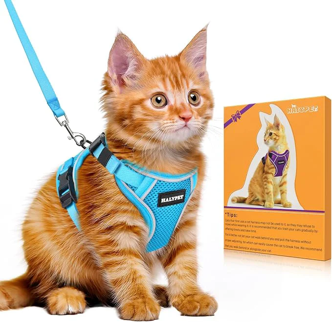 Reusable Halypet Cat Harness and Leash Set Escape Proof Adjustable Cat Leash Comfortable Relaxed