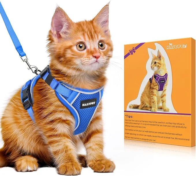 Innovative Halypet Cat Harness and Leash Set Escape Proof Adjustable Cat Leash Comfortable Stylish