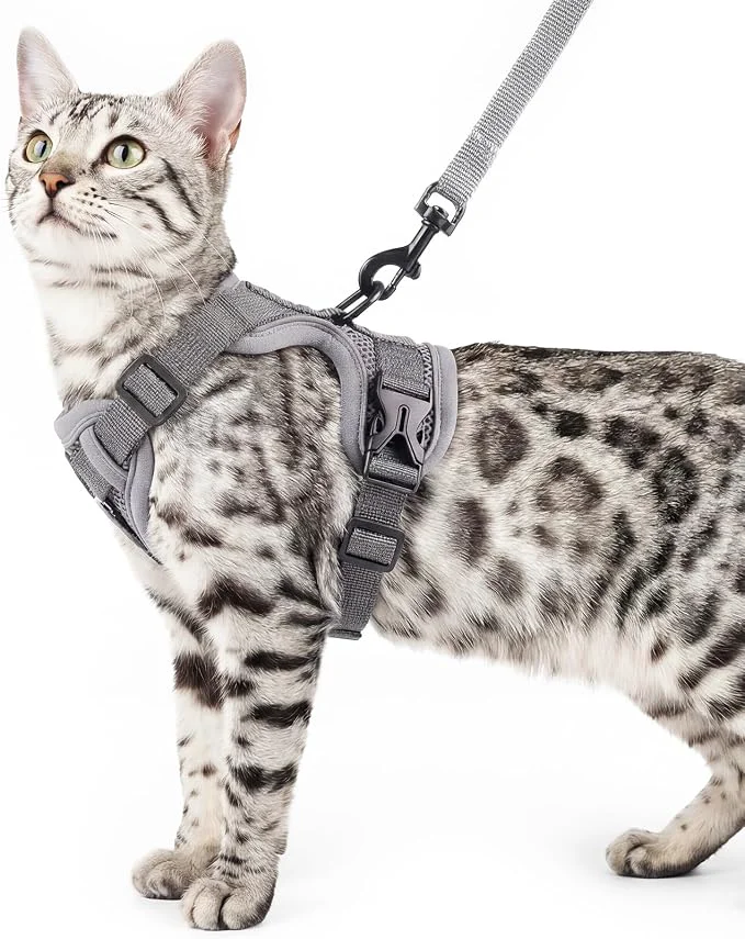 Artisan Cat Harness and Leash Set Escape Proof Tactical Large Kitten Harness Emotional Practical