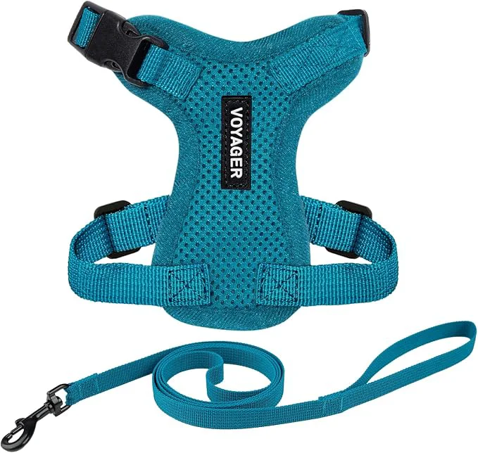 Contemporary Voyager Escape-Proof Step-in Lock Cat Harness 5ft Neoprene-Handle Leash Set Artisan