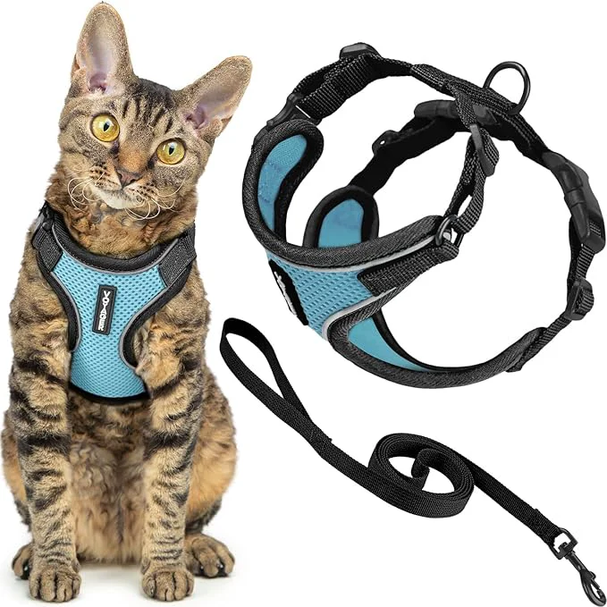 Premium Voyager Escape-Proof Step-in Lock Cat Harness 5ft Neoprene-Handle Leash Set First-Class