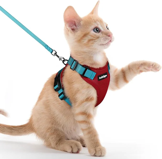 Recyclable rabbitgoo Cat Harness and Leash Premium Material
