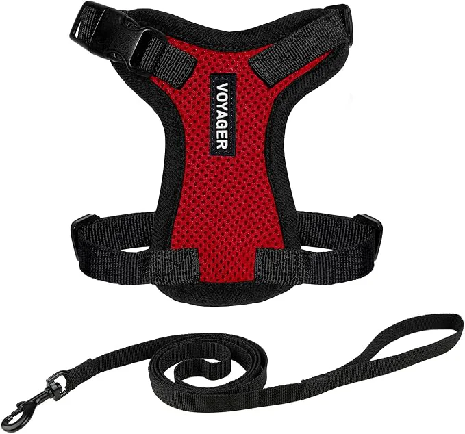 Reusable Voyager Escape-Proof Step-in Lock Cat Harness 5ft Neoprene-Handle Leash Set Modern