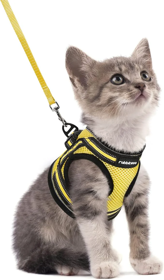 Top-Quality rabbitgoo Cat Harness and Leash Set Natural