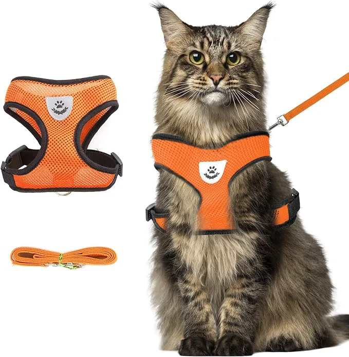 Functional shudyear Summer cat Chest Harness and Leash Anti-Escape Adjustable Soft mesh Sustainable