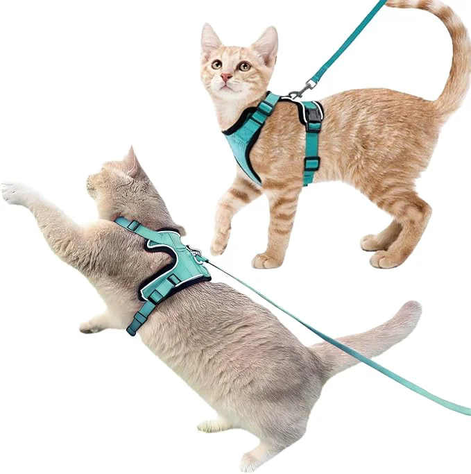 Soft Luxelle 2 Pack Escape-Proof Cat Harness and Leash Set Refined
