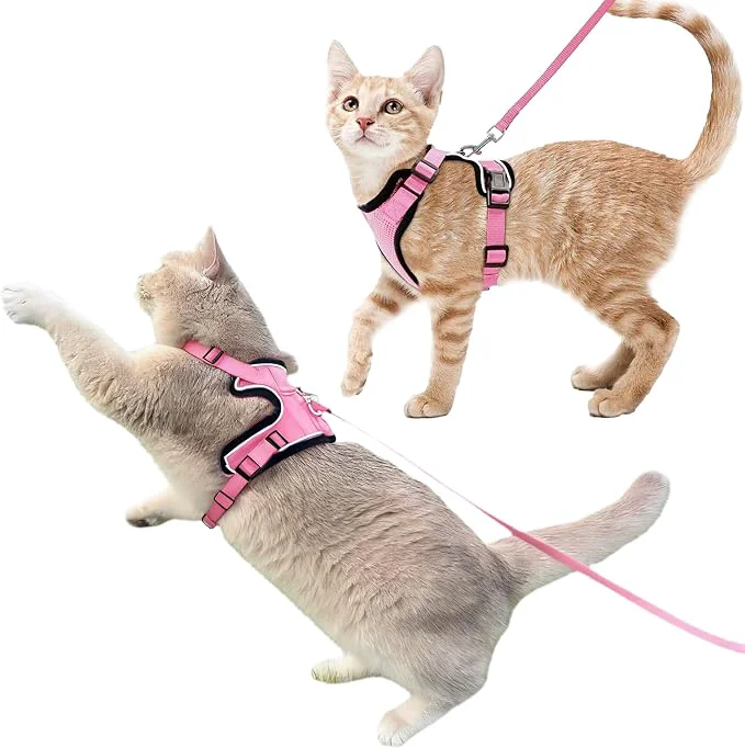Consistent Luxelle 2 Pack Escape-Proof Cat Harness and Leash Set Smooth