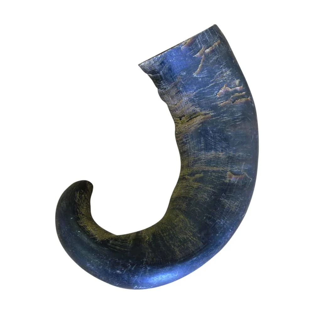 Unique QT Dog Buffalo Horn Medium Reliable