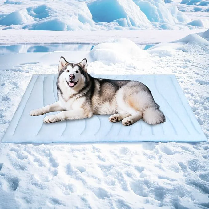 Powerful BECEMURU Dog Cooling Mat in Summer Plush Warm Blanket in Winter 2-Sided Green