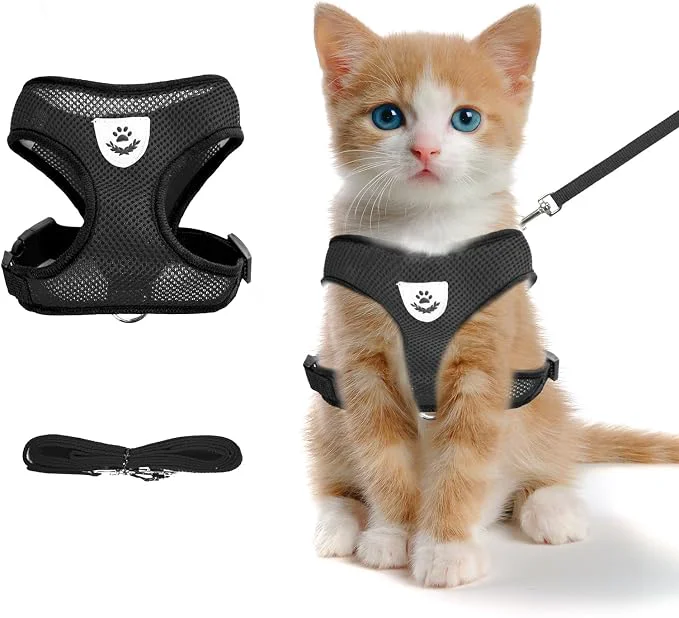 Trendy shudyear Summer cat Chest Harness and Leash Anti-Escape Adjustable Soft mesh Top-Quality
