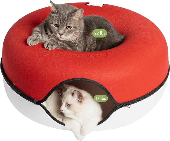 Modern Cattasaurus Peekaboo Cat Cave Donut Casual