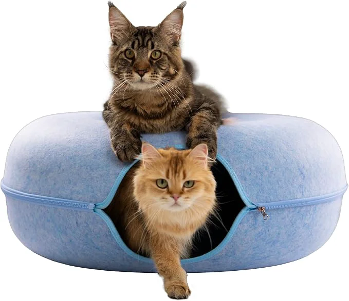 Prestigious Cattasaurus Peekaboo Cat Cave Donut Recyclable