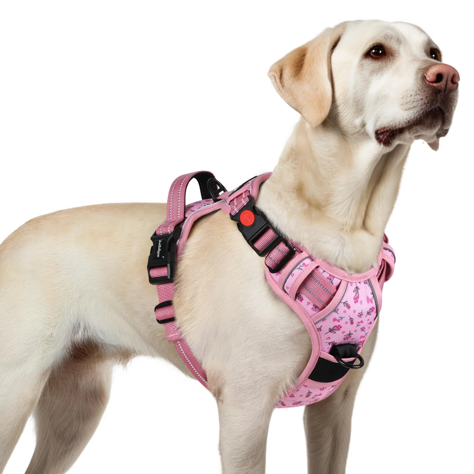 Long-Lasting Rabbitgoo Large No-Pull Dog Harness with 3 Buckles — Floral Pink Size L World-Class