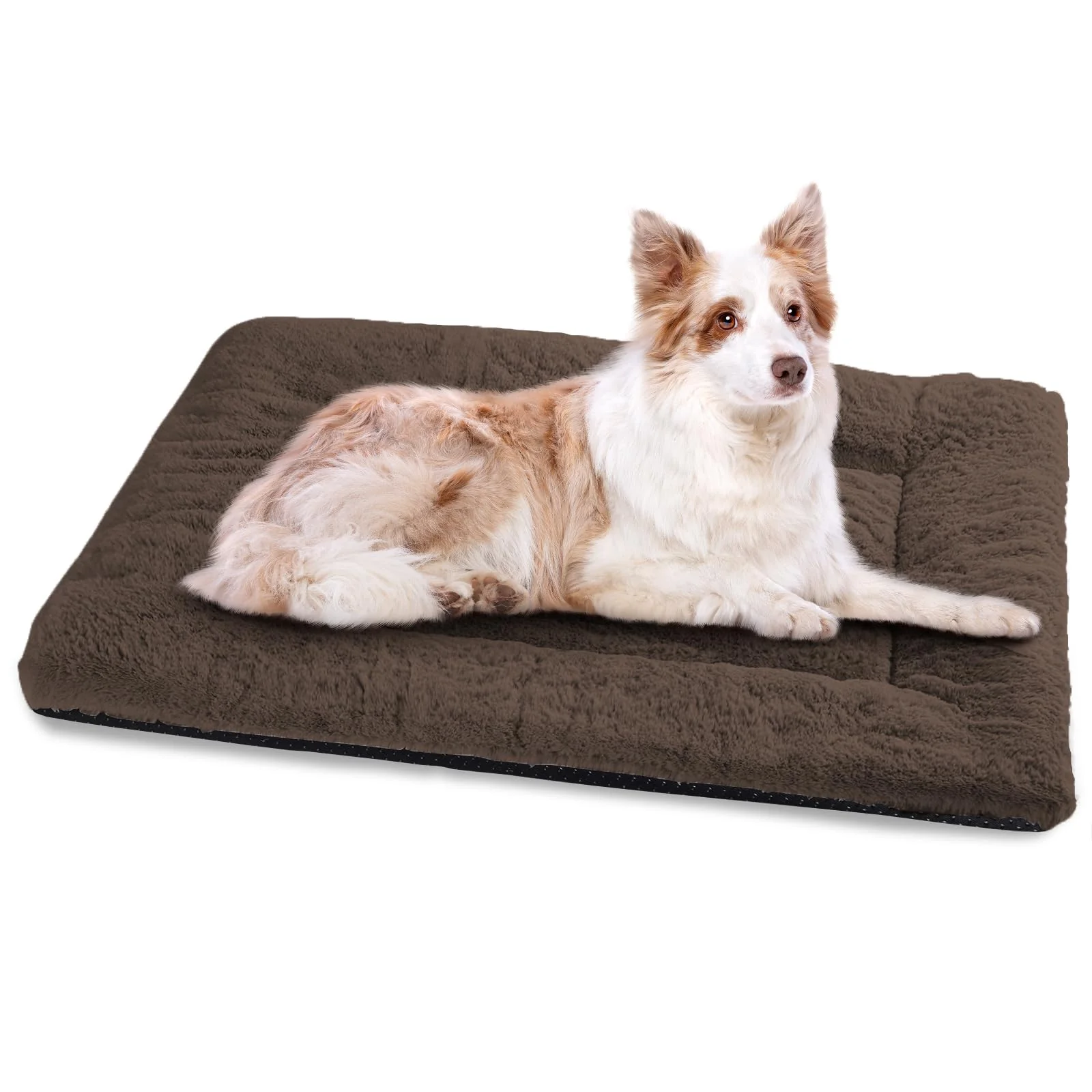 Breathable ZENGAOOU Dog Crate Pad 36x23 Ultra-Soft Washable Kennel Bed with Anti-Slip Modern