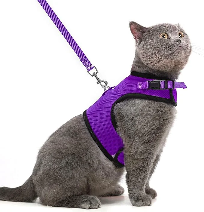 High-Quality PUPTECK Soft Mesh Cat Vest Harness and Leash Set Puppy Padded Pet Harnesses Specialty